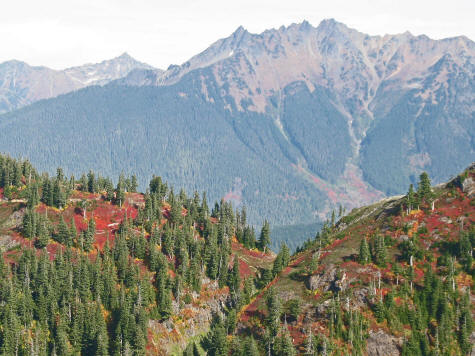 Mt. Baker in the State of Washington