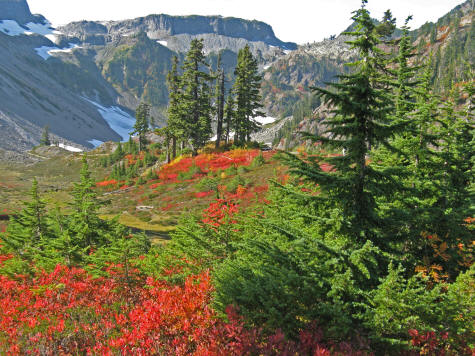 Camping at Mount Baker in Washington State