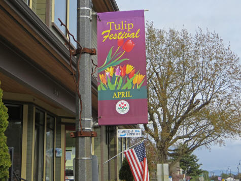 La Conner Tulip Festival