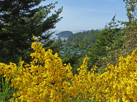 Islands of Washington State